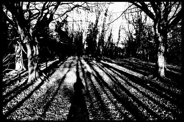 Test 2: Kodak TP Developed in HC110, dillution B for 6 minutes. Negs much much better, still incredibly contrasty while remaining extremely detailed. The are slightly over-developed so next time less development required.