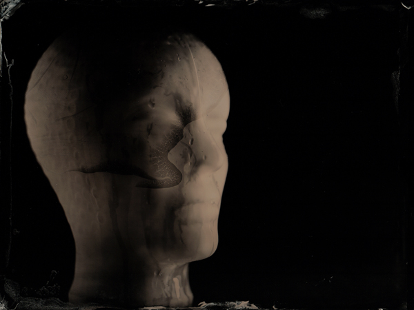 Still Life but Mutulated-1-small Head covered with water