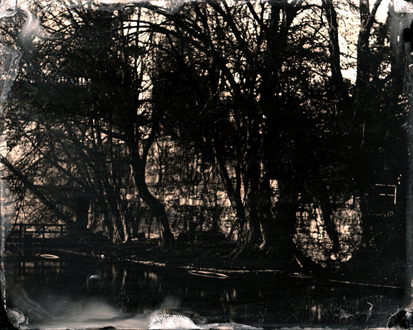 First plate 4x5" Tintype; approx. f20,  2 seconds, Fix KCN 2%