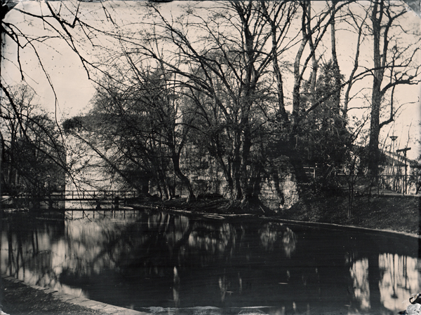 8x10" Glass Plate - Approx. f20 - 3 seconds - Fix: KCN 2%