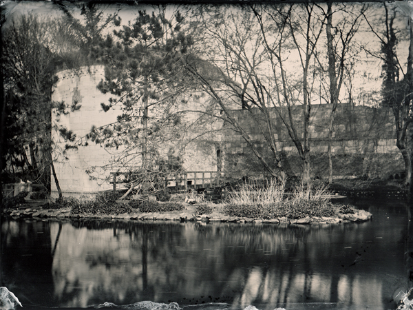 8x10" Glass Plate - Approx. f20 - 3 seconds - Fix: KCN 2%