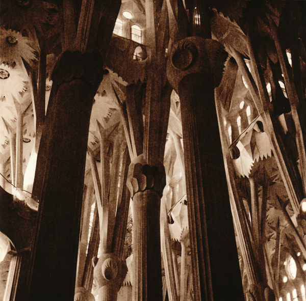 Paper: Rollei Vintage 131 FB Developer: Rollei Vintage Developer (Lith) 1+1+24 Exposure: f5,6 20 sec Development: about 7 min. 14 sec  Selenium Toned: 1+4, 1 1/2 min.