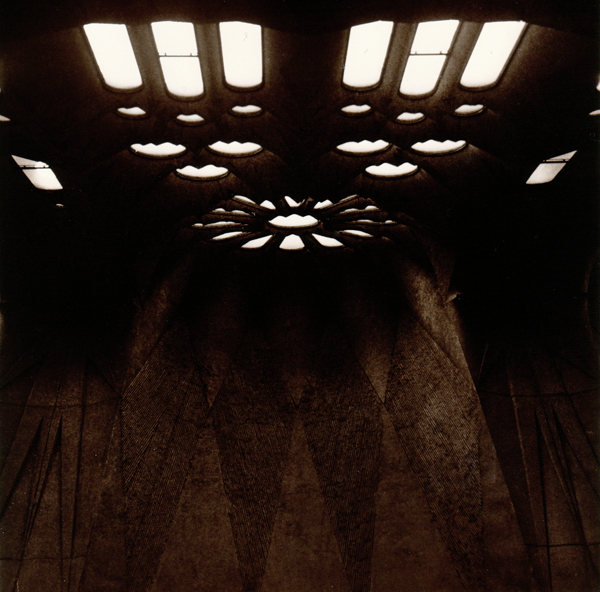 Paper: Rollei Vintage 131 FB Developer: Rollei Vintage Developer (Lith) 1+1+24 Exposure: f5,6 10 sec Development: about 11 min. 44 sec  Selenium Toned: 1+4, 1 1/2 min.