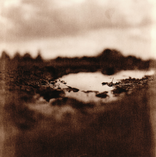 Nr2-276-Rollei131V5Toned-small 1+4 Selenium Toner +- 2 minutes