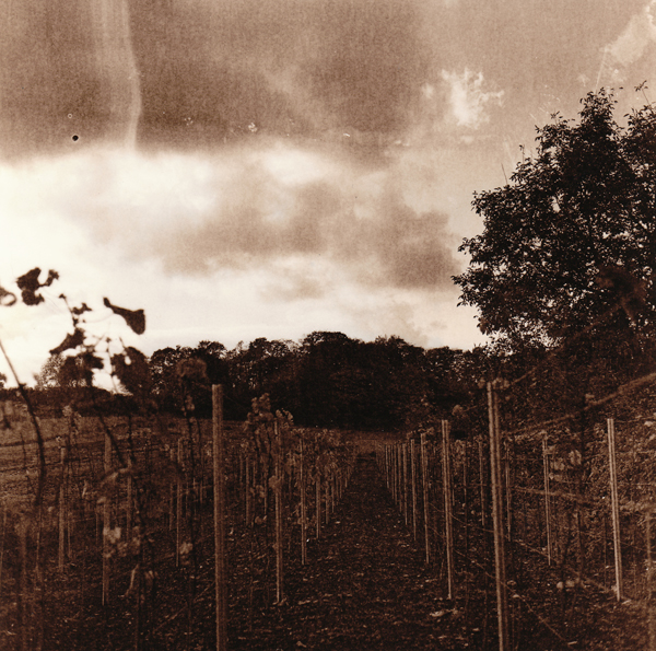 Nr5-276-Rollei131V2Toned-small 1+4 Selenium Toner +- 2 minutes