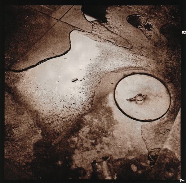 Paper: Rollei Vintage 131 FB Developer: Rollei Vintage Developer (Lith) 1+1+24 Exposure: f5,6 20 sec. filter 3 Development: about 5 1/2 minutes  Selenium Toned: 1+4 1 1/2 min.