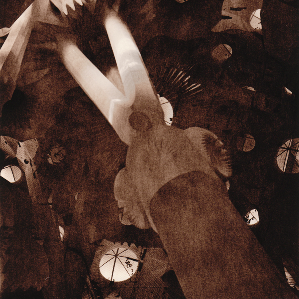 Paper: Rollei Vintage 131 FB Developer: Rollei Vintage Developer (Lith) 1+1+24 Exposure: f5,6 25 sec Development: about 6 min.  Selenium Toned: 1+4, 1 1/2 min.