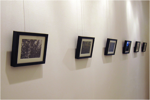 A few of the works by Bert Janssen