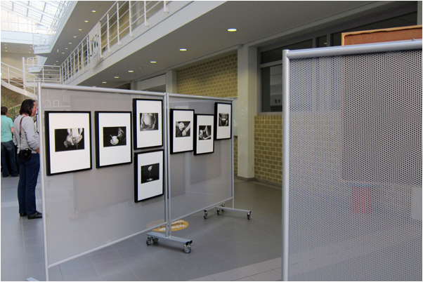 The series by Dries Berghmans