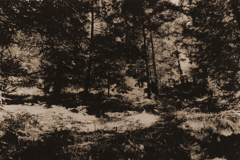 Nr4-italie_hafling_small