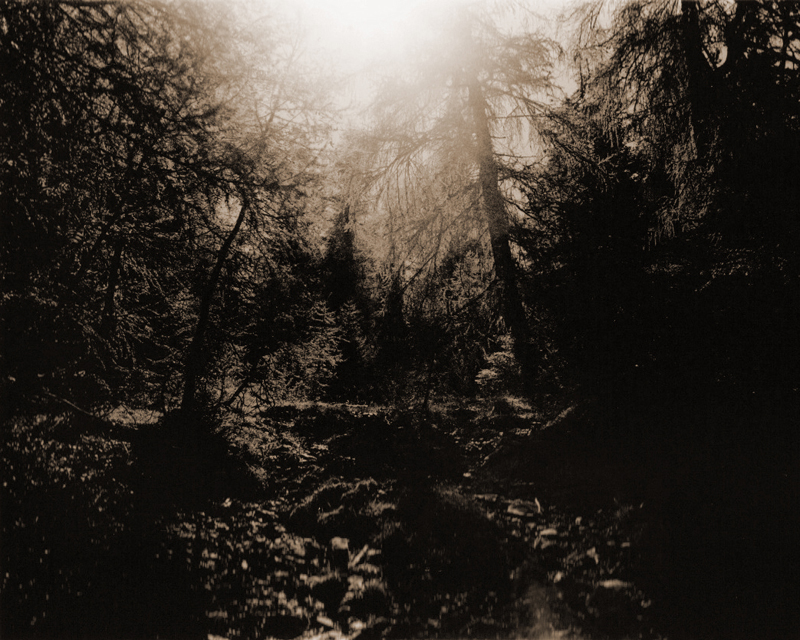 Nr7-italie_hafling_small