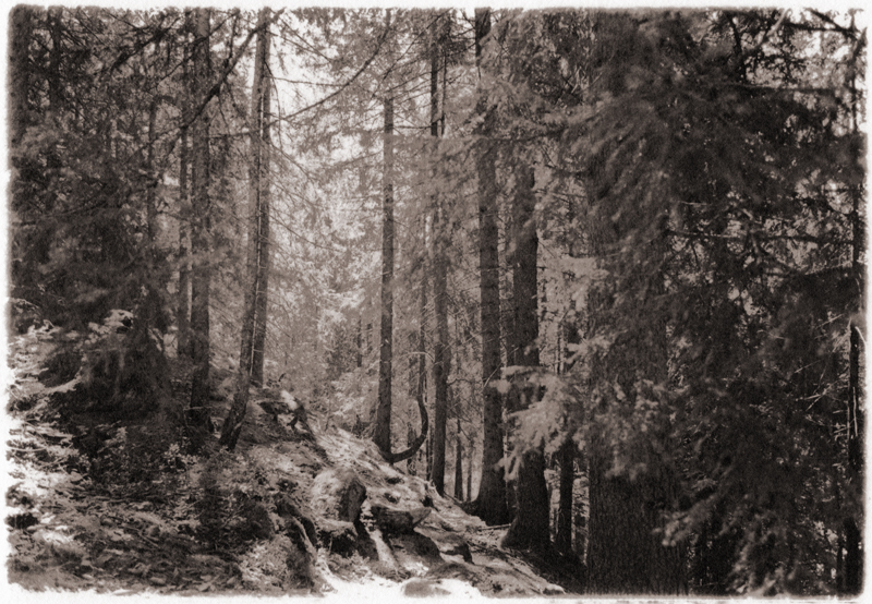 4_MGART_2ndpass_small