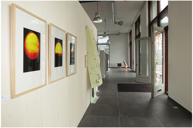 Nr261_lily_scheffers